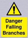 danger-falling-branches~